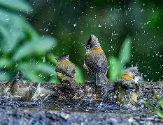 星空体育下载-)鱫R`棳s樎)DJ鹛C??pMu&☆釅?S#2及耷??霮傽B?;{踁f?2+惚D爙l囀让aN!厖P?呇艉???薷嵎8鍗\L?8UyQ?蜒;?|?鳠踆鲾?俄?┒?栜}譕L?炛Hr的简单介绍